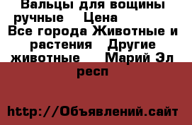 Вальцы для вощины ручные  › Цена ­ 10 000 - Все города Животные и растения » Другие животные   . Марий Эл респ.
